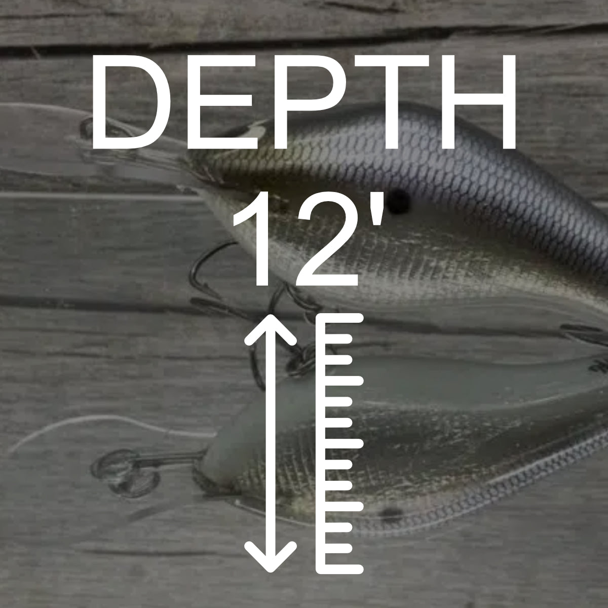 Depth: 12'