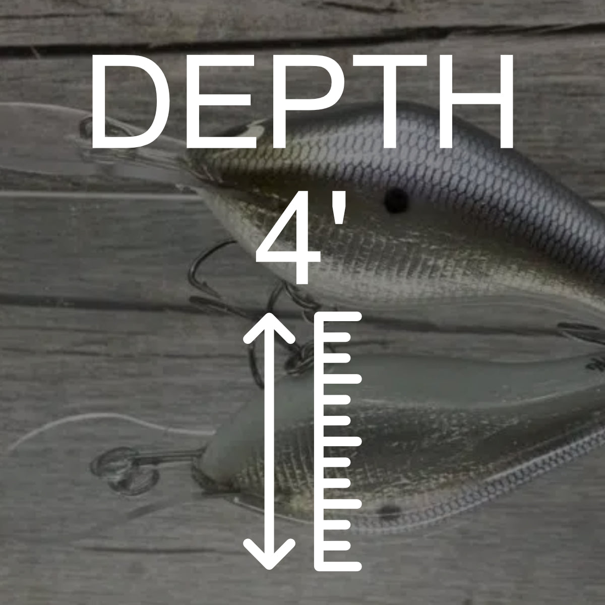 Depth: 4'