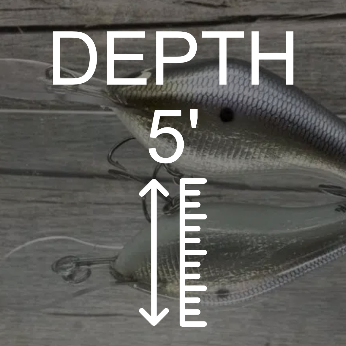 Depth: 5'