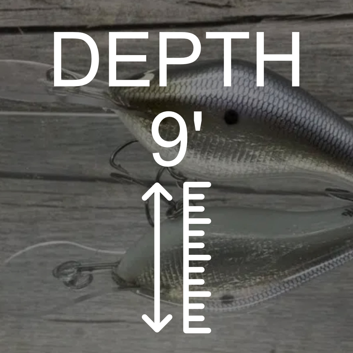 Depth: 9'