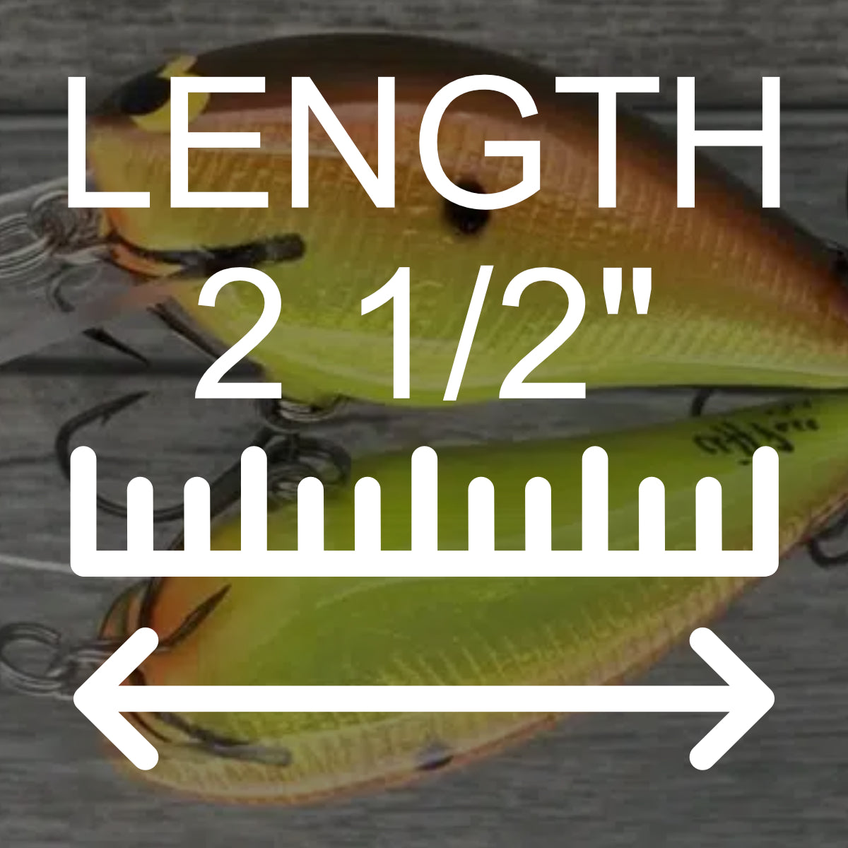 Length: 2 1/2"