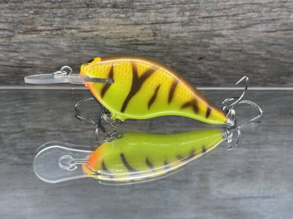 Black Label Balsa - Shiver 5 - Custom Balsa Crankbait - Spring Tiger color image 0