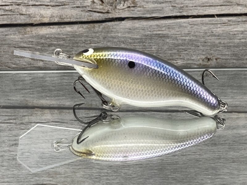 Black Label Balsa - Tapout - Custom Balsa Crankbait - American Shad Color image 0