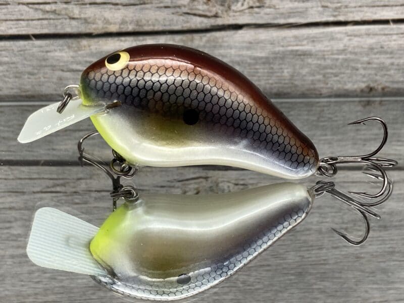 Greenfish Tackle - FAT G2 - Custom Balsa Squarebill Crankbait - Mystic Shad Color image 0