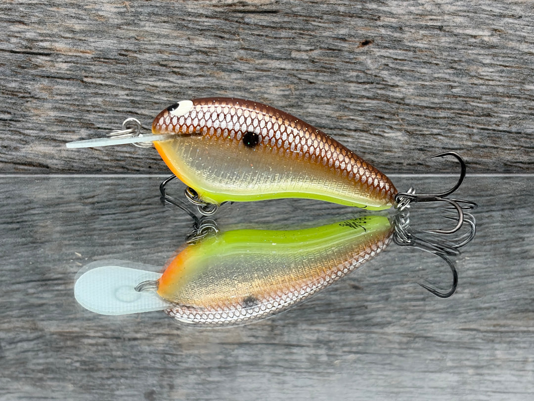 Black Label Balsa - Little Cliffie Signature Series