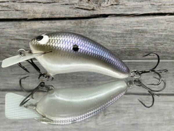 Black Label Balsa - Speedy - Hybrid Squarebill Crankbait - American Shad Color image 0