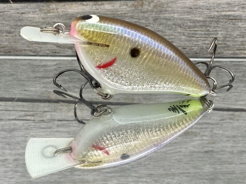 Black Label Balsa - Bacon-Signature Series