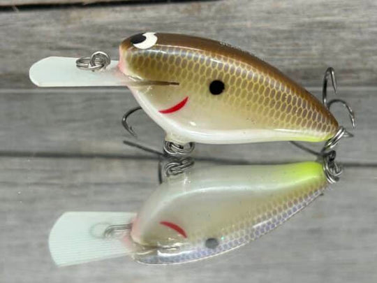Black Label Balsa - Bacon MR