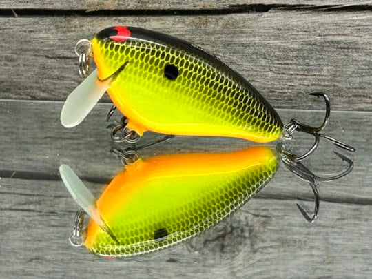 Black Label Balsa - Bacon SSR
