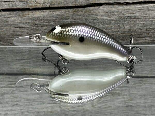 Black Label Balsa - Badger Squarebill