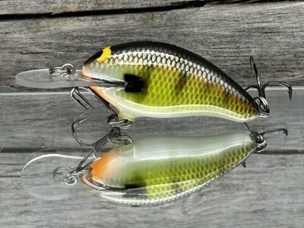 Black Label Balsa - Badger Squarebill