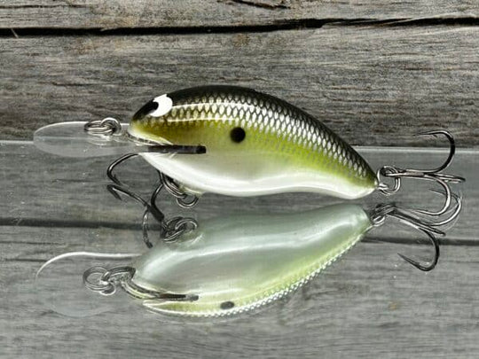 Black Label Balsa - Badger Squarebill