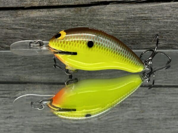 Black Label Balsa - Badger Squarebill