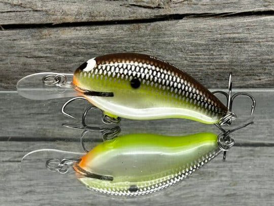 Black Label Balsa - Badger Squarebill