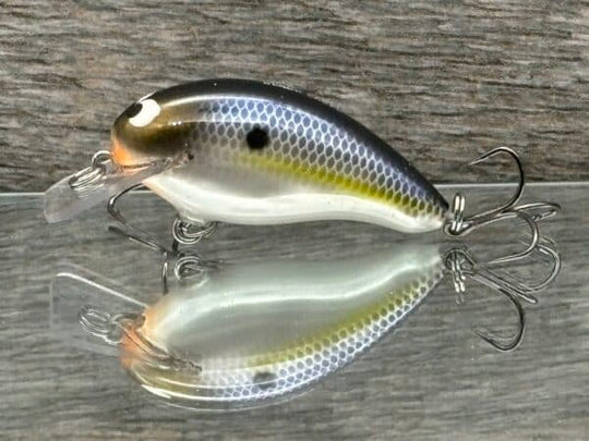 Black Label Balsa - Badger SR Squarebill