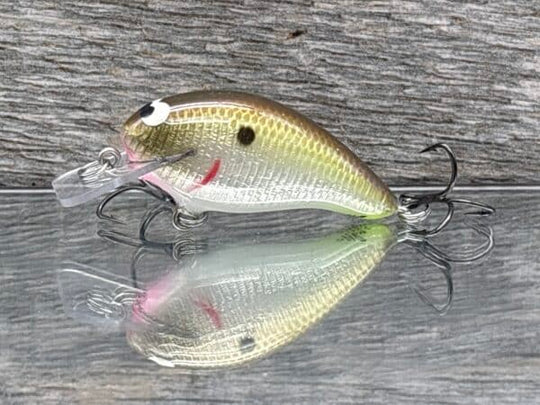 Black Label Balsa - Badger SR Squarebill Signature Series