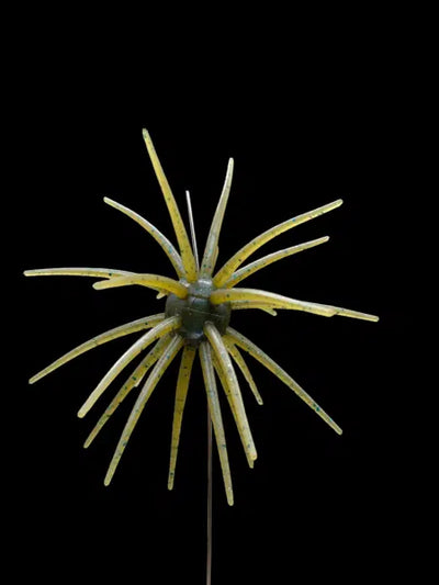 Black Label Soft Plastics - OFO 21mm