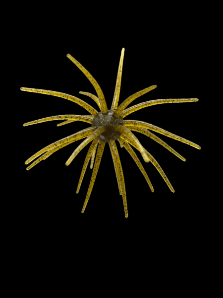 Black Label Soft Plastics - OFO 20mm