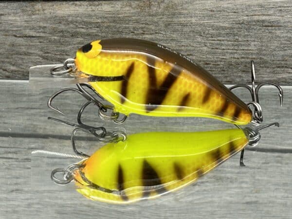 Black Label Balsa - BL 1.0 Squarebill