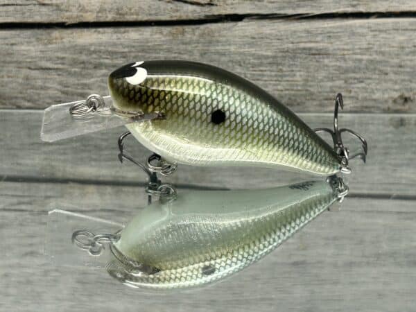 Black Label Balsa - BL 1.5 Squarebill Signature Series