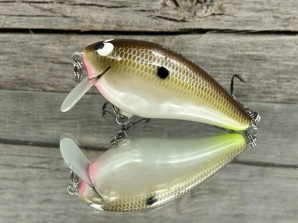 Black Label Balsa - BL 1.5 SSR