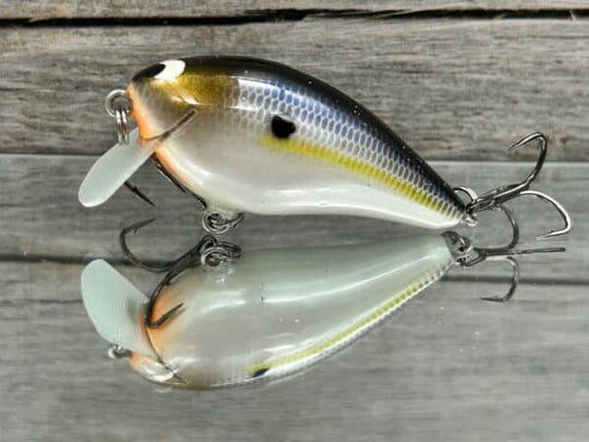 Black Label Balsa - BL 1.5 SSR