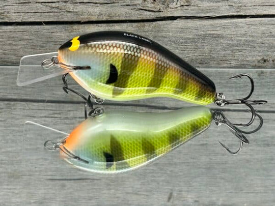 Black Label Balsa - Bully Squarebill