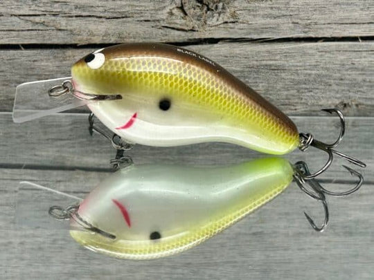 Black Label Balsa - Bully Squarebill