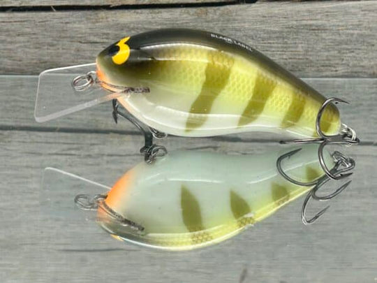 Black Label Balsa - Bully Squarebill