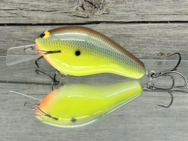 Black Label Balsa - Bully Squarebill