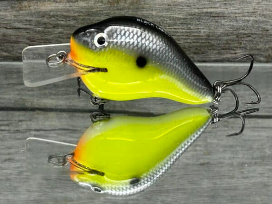Black Label Balsa - C 1 Squarebill