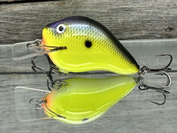 Black Label Balsa - C 1 Squarebill