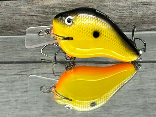Black Label Balsa - C 1 Squarebill
