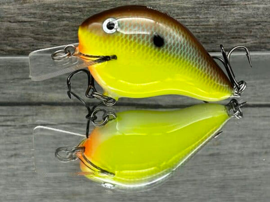 Black Label Balsa - C 1 Squarebill