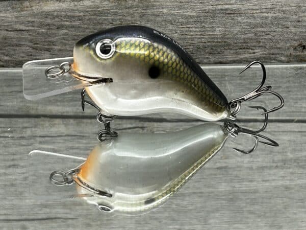 Black Label Balsa - C 1 Squarebill