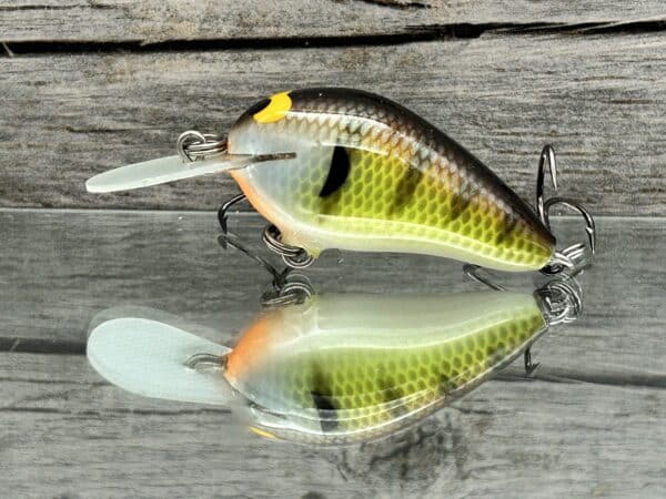 Black Label Balsa - Fat Little Cliffie