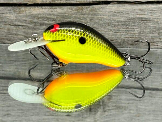 Black Label Balsa - Fat Little Cliffie