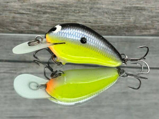 Black Label Balsa - Fat Little Cliffie