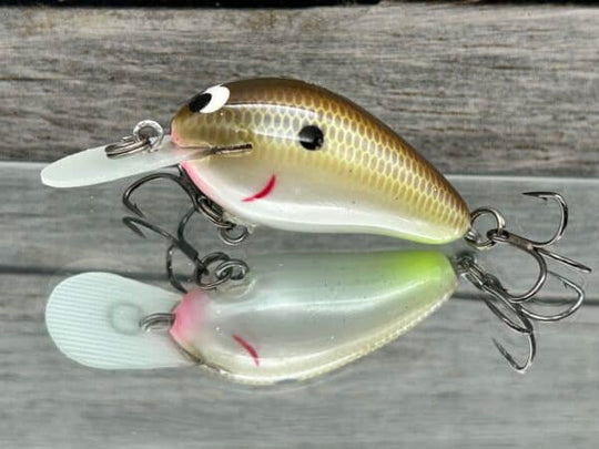 Black Label Balsa - Fat Little Cliffie