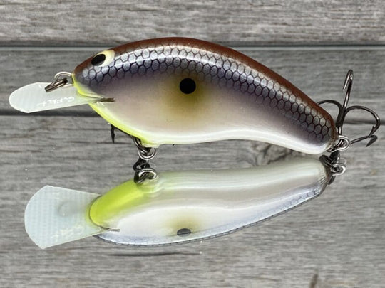 Greenfish Tackle - G Flat Shallow