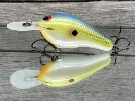 Greenfish Tackle - GT6