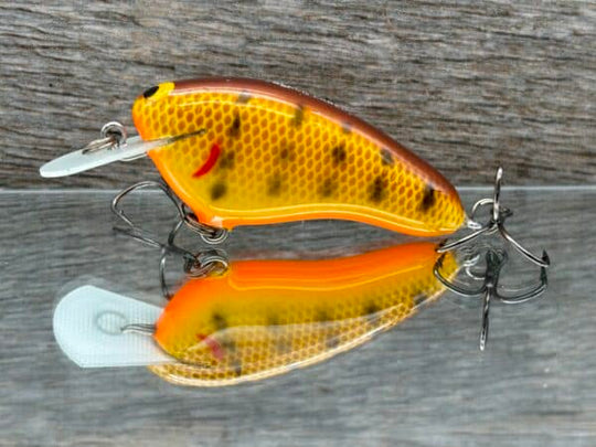 Black Label Balsa - Hickster