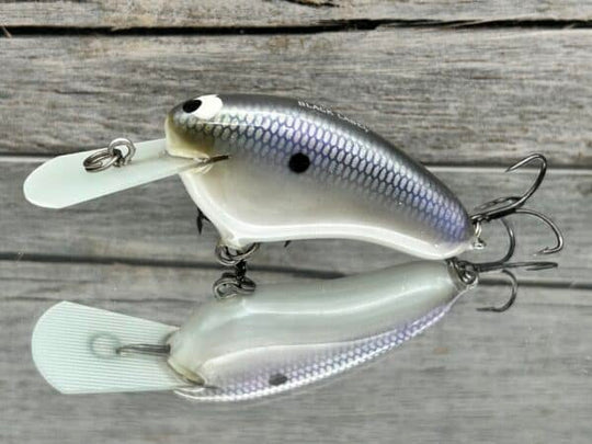 Black Label Balsa - Hickster MR