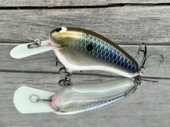 Black Label Balsa - Hickster MR