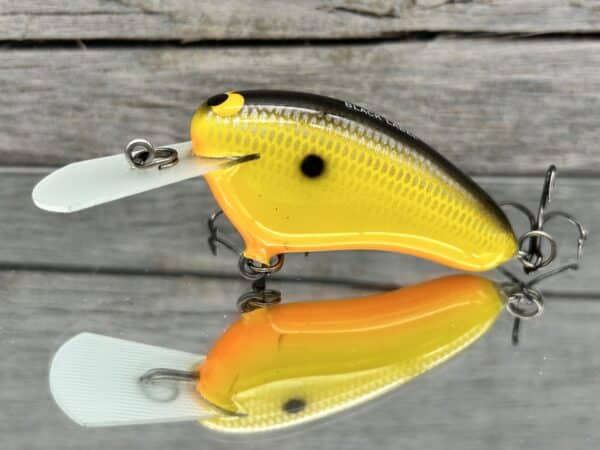 Black Label Balsa - Hickster MR