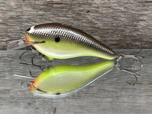 Black Label Balsa - K III Squarebill