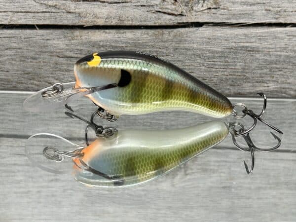 Black Label Balsa - K II SR