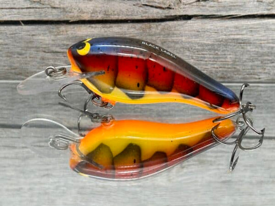 Black Label Balsa - K II SR