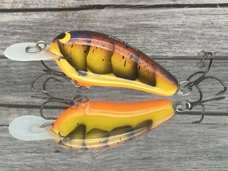 Black Label Balsa - Little Cliffie