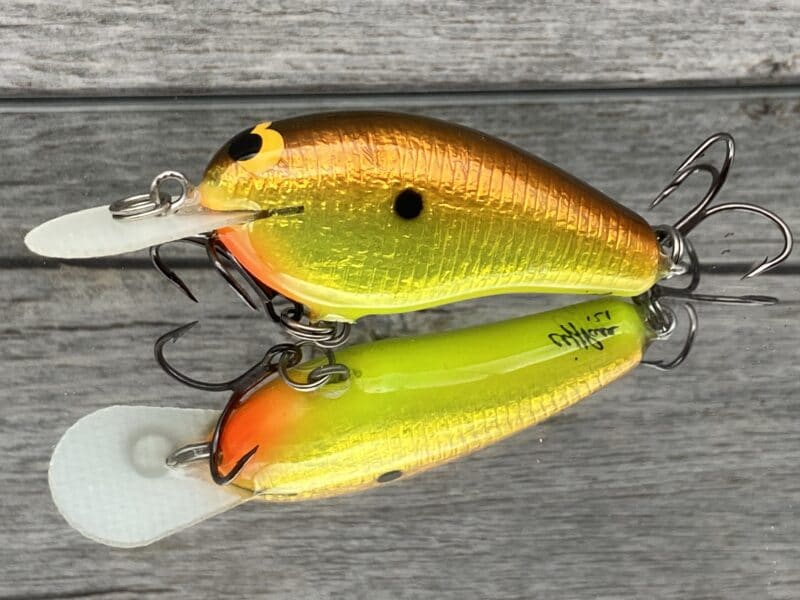 Black Label Balsa - Little Cliffie Signature Series